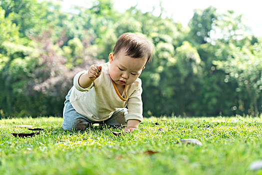 寶寶在草地上玩耍