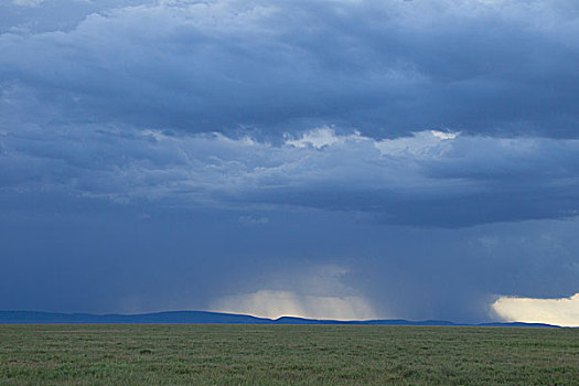 非洲,坦桑尼亚,塞伦盖蒂国家公园,风暴,环绕,公园,云,天空