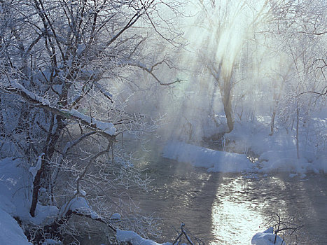 河,冬天