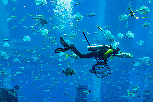 阿联酋迪拜棕榈岛,失落的空间,水族馆