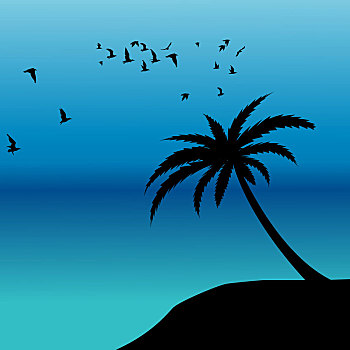 棕榈树,剪影,鸟,飞翔,岸边