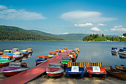 彩色,划船,船,湖,黑森林,巴登符腾堡,德国,欧洲