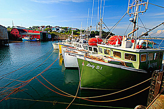 渔船,港口,新斯科舍省,加拿大