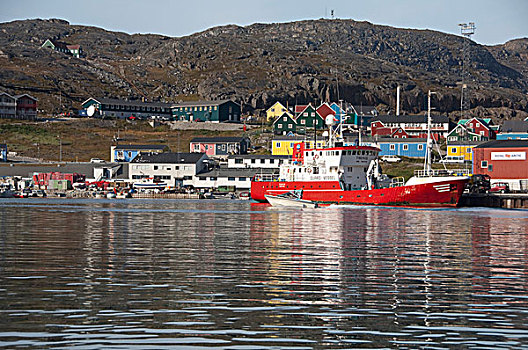 格陵兰,南,城镇,居民,港口,城市,彩色,家,红色,船