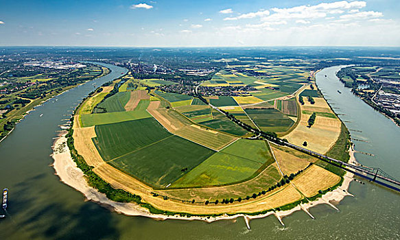 洪水,预防,莱茵河,堤岸,相对,桥,杜伊斯堡,北莱茵威斯特伐利亚,德国,欧洲
