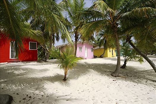 彩色,加勒比海,旅馆,海滩,卡塔琳娜,岛屿,多米尼加共和国,美洲