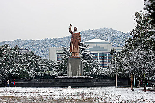 雪后的浙江大学玉泉校区