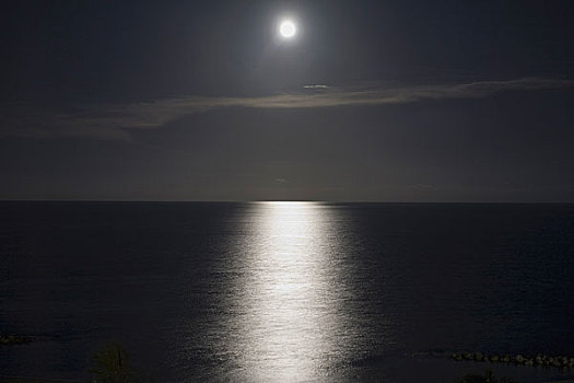 满月,反射,水上,夜晚
