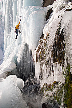 攀冰,瀑布,瓦沙奇山,靠近,犹他,美国