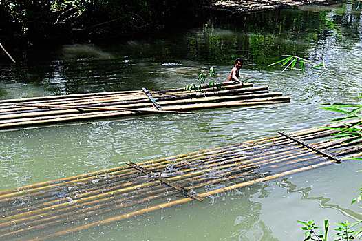竹子,筏子,河,苏拉威西岛,岛屿,印度尼西亚,东南亚