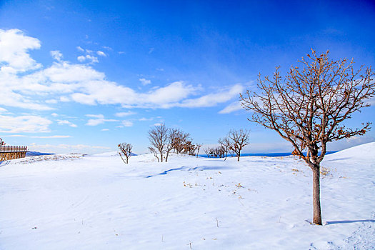 北海道无人雪景
