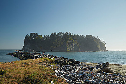 沿岸,风景,死,秋天,普吉特湾,华盛顿,美国