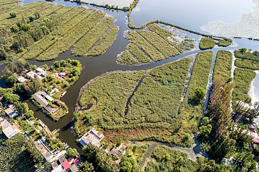 河北保定雄安新区,安新县圈头乡白洋淀内的纯水村