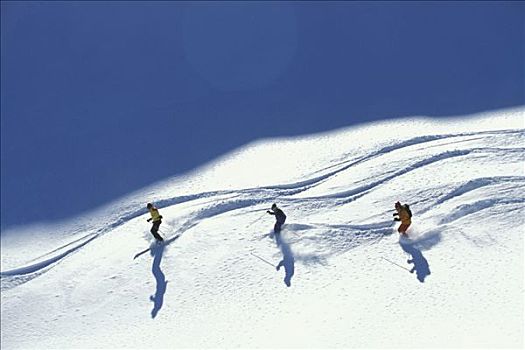 成年,落基山脉,加拿大,群体,冬天,雪