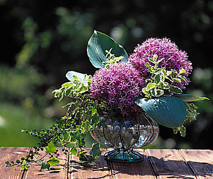 两个,葱属植物,花,常春藤,玻璃花瓶