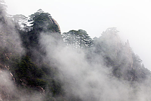 黄山,奇石,云海,壮观,名胜,风景,0029