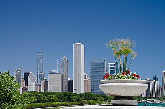 伊利诺斯,芝加哥,市区,天际线,风景,花