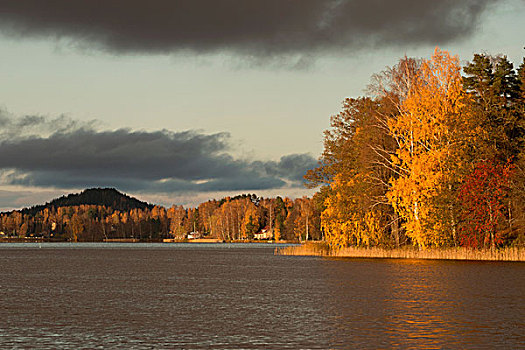 风景,树林,漂亮,秋色,湖,灰色天空,背景