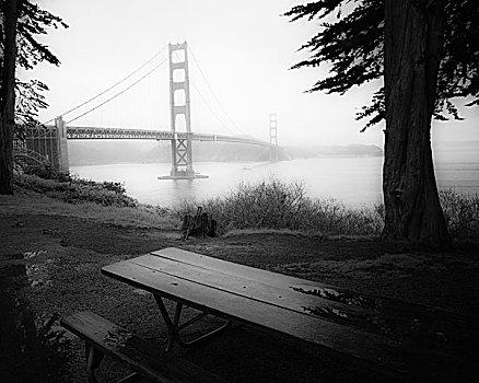 金色,大门,桥,雾气,野餐,桌子,树,前景,旧金山,加利福尼亚,美国