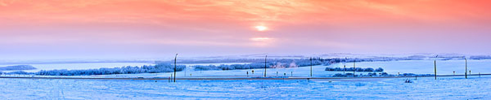 冬天,日落,草原,艾伯塔省,加拿大