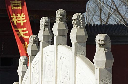 中国,北京,庙宇,位置,桥,装饰,石狮,塑像