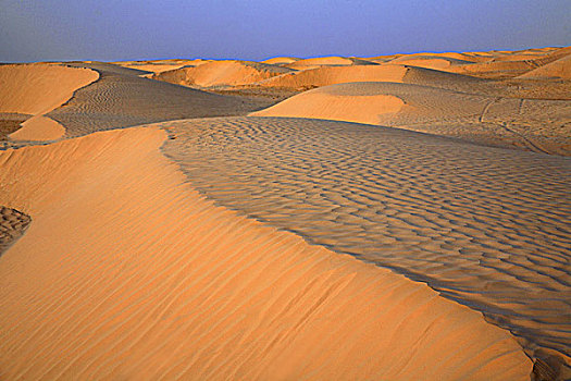 非洲,南,突尼斯,沙丘,沙漠,靠近,杜兹