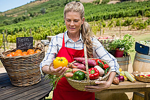 女人,拿着,篮子,新鲜,蔬菜,货摊,葡萄园