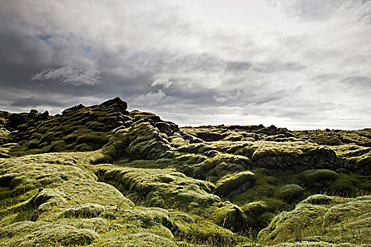 苔藓密布,熔岩原,冰岛