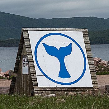 鲸,尾部,标识,海滩,小路,布雷顿角岛,新斯科舍省,加拿大
