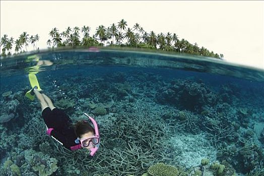 潜水,热带海岛,所罗门群岛