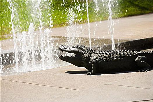 鳄鱼,靠近,喷泉,奥兰多,佛罗里达,美国