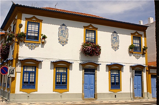 阿威罗,葡萄牙,特色,建筑,风景
