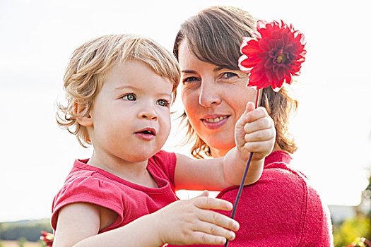 头像,中年,母亲,幼儿,女儿,拿着,红花,地点