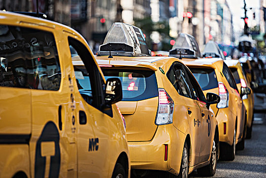 排,黄色,出租车,城市街道