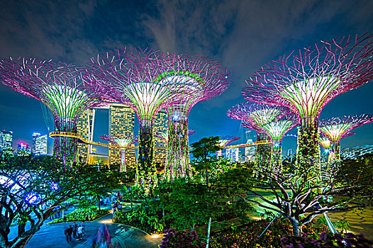 花园,湾,光亮,夜晚,新加坡