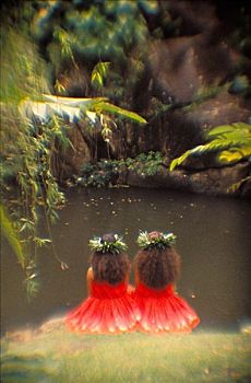 夏威夷,瓦胡岛,两个,草裙舞,姐妹,反射,坐,水塘,山谷