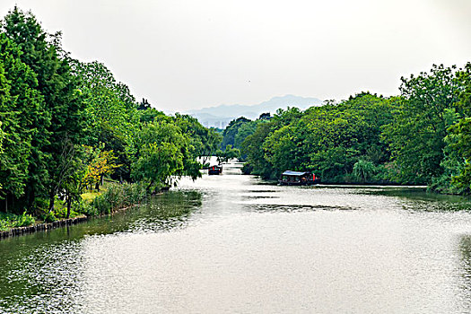 杭州西溪湿地公园自然风光