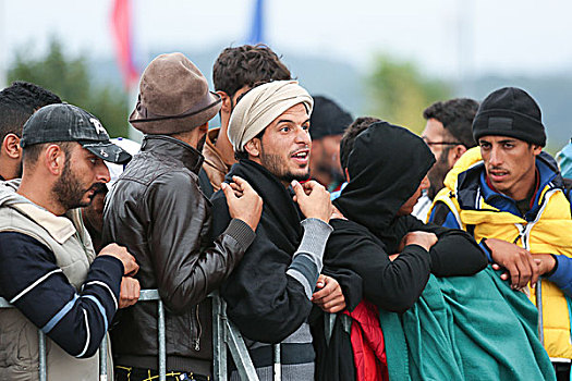移民,排队,斯洛文尼亚人,边界