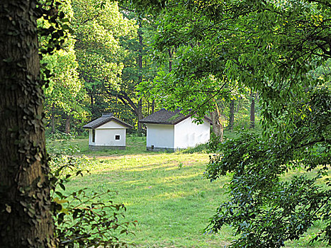 树林里的小屋