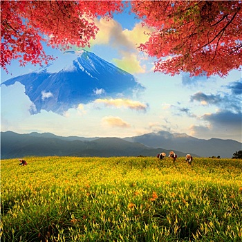 图像,神圣,山,富士山,背景,蓝天