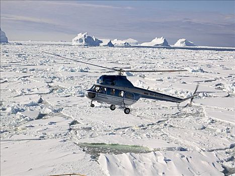 直升飞机,降落,破冰船,飞行,上方,冰山,海岸,富兰克林,岛屿,南极