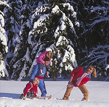孩子,父亲,母亲,男人,女人,拉拽,雪橇,冬季运动,欧洲,父母,假日