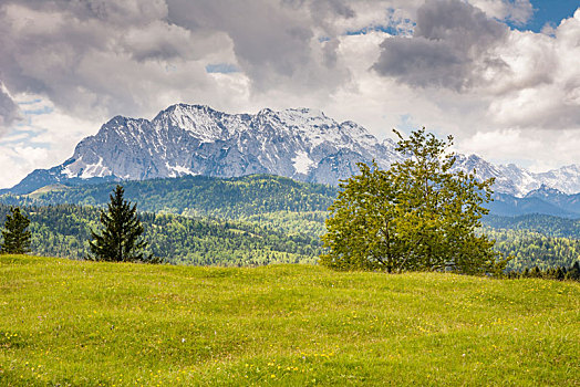 山,阿尔卑斯山,巴伐利亚
