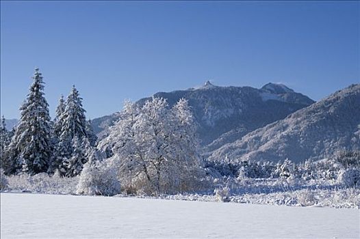 积雪,冬季风景,山,荒野,上巴伐利亚,德国
