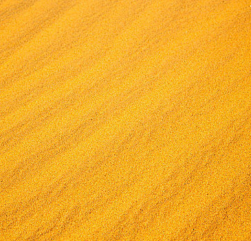 褐色,沙丘,撒哈拉沙漠,摩洛哥,沙漠