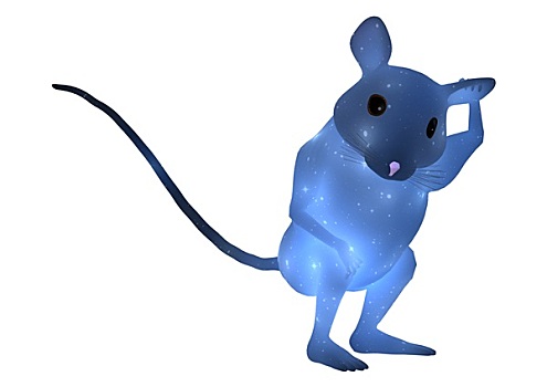 蓝色,老鼠