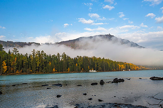 喀纳斯河风景