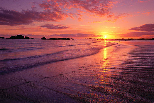 日落,海岸,请求,布列塔尼半岛,法国