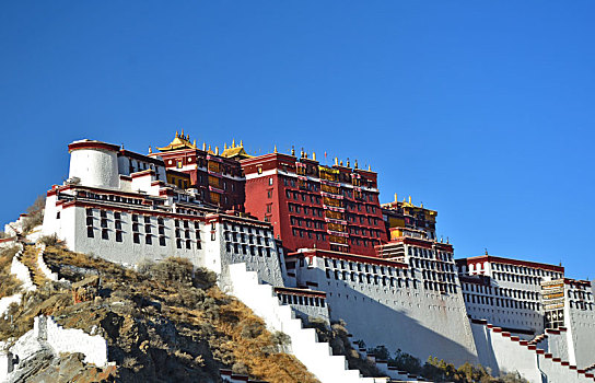 西藏蓝天