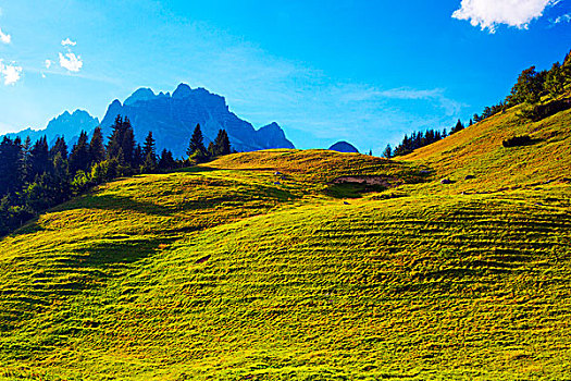 奥地利,阿尔卑斯山,夏天,山,风景